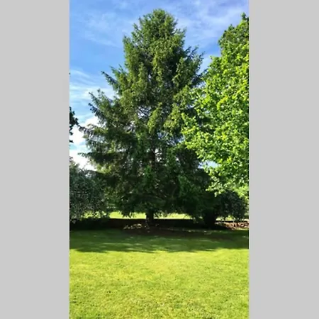 Casa Amalia - En El Corazon De Cantabria!! Holiday home