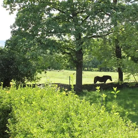 Holiday home Casa Amalia - En El Corazon De Cantabria!! *