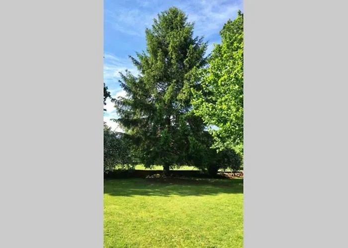 Casa Amalia - En El Corazon De Cantabria!! 度假居