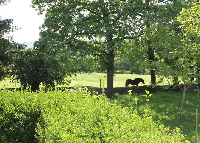 Holiday home Casa Amalia - En El Corazon De Cantabria!! *