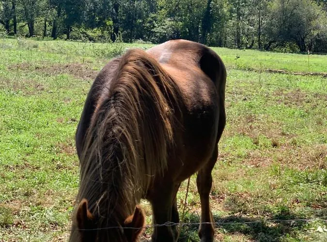 Casa Amalia - En El Corazon De Cantabria!! Holiday home *