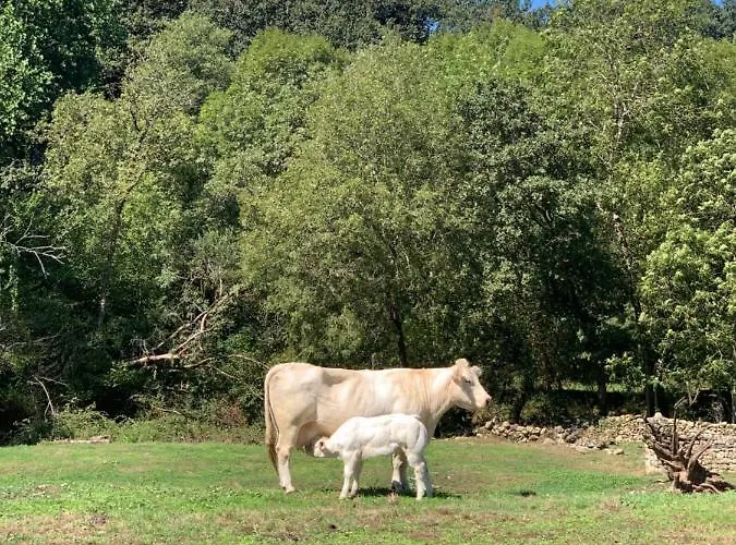 Casa Amalia - En El Corazon De Cantabria!! * Villacarriedo